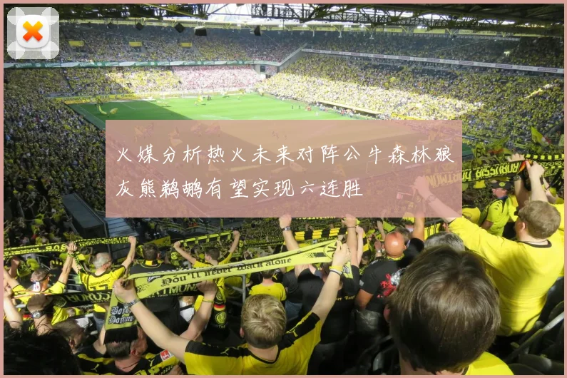 火媒分析热火未来对阵公牛森林狼灰熊鹈鹕有望实现六连胜